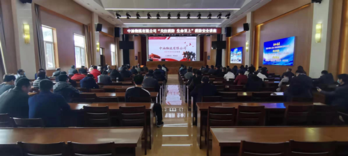 图片1_副本.png