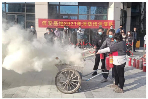 图片3_副本.png