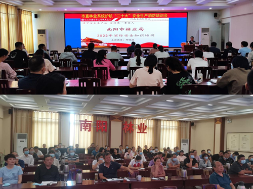 图片1_副本.png